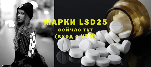 скорость Вяземский