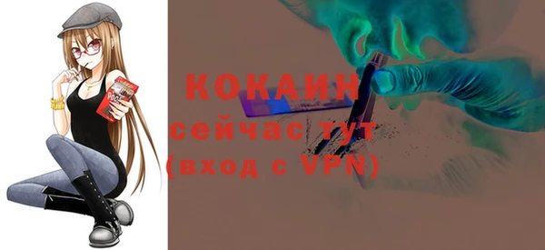 скорость Вяземский