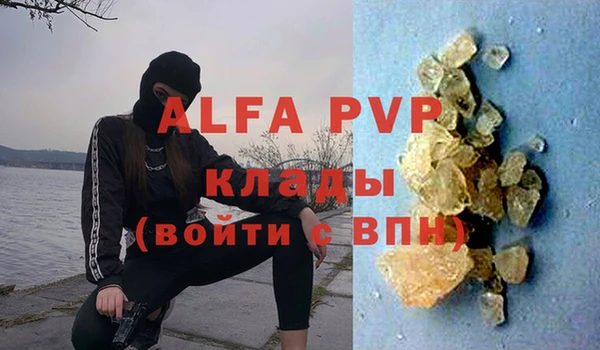 скорость Вяземский