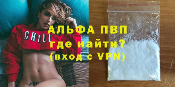 скорость Вяземский