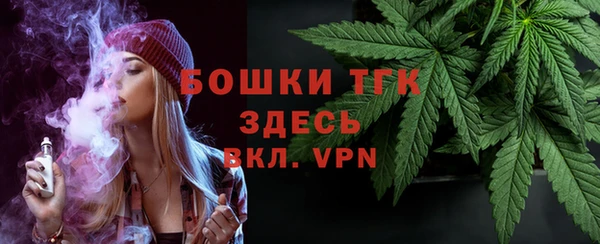 скорость Вяземский