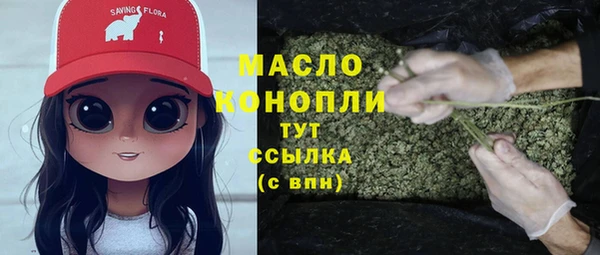 скорость Вяземский