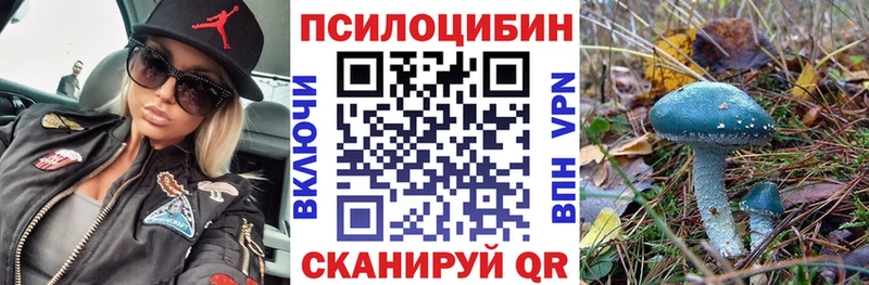 купить закладку  Южа  Псилоцибиновые грибы ЛСД 